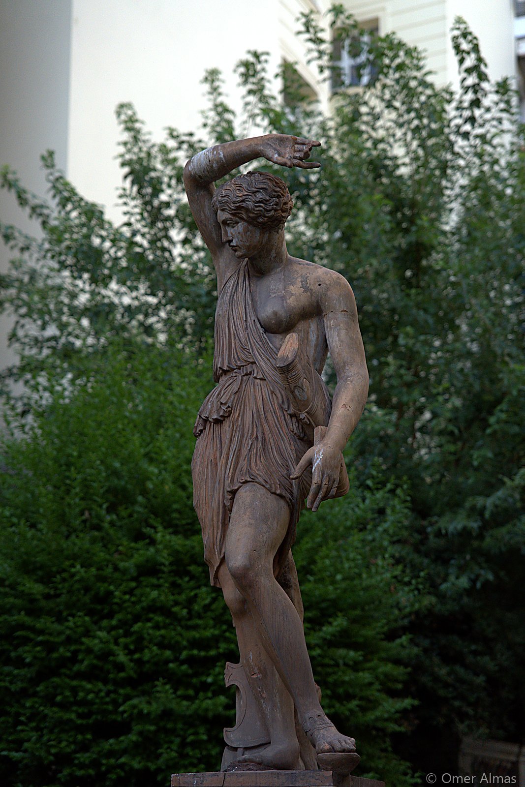 Garden Muse
